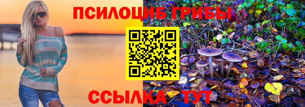 Галлюциногенные грибы Magic Shrooms Симферополь