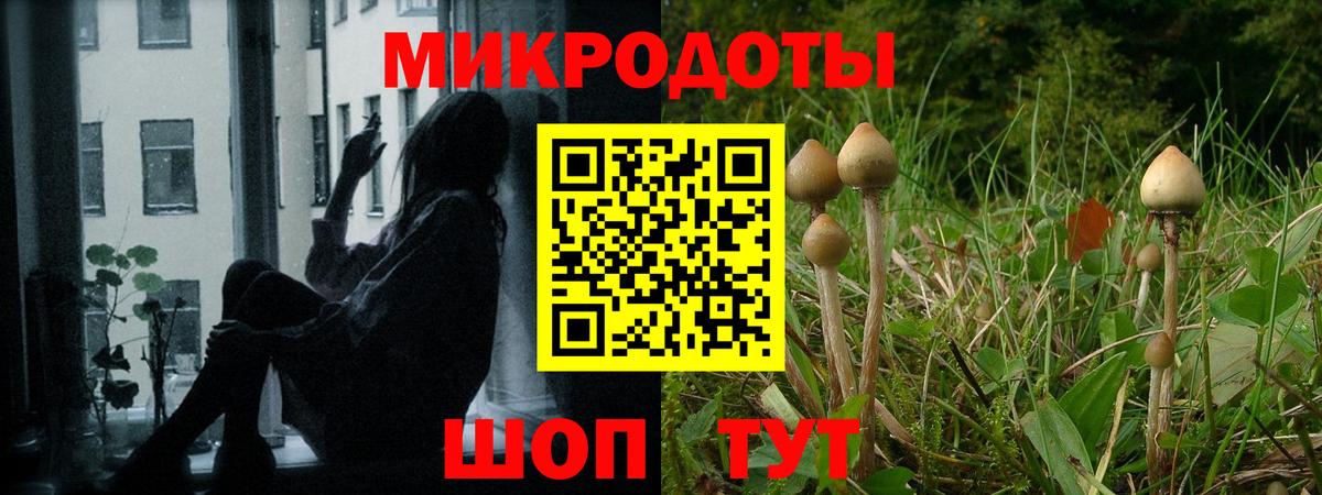 Галлюциногенные грибы мухоморы  Вход с VPN  Симферополь 